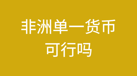 非洲单一货币可行吗？