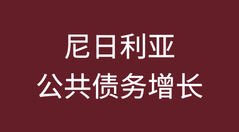 公共债务增长引发对尼日利亚经济未来的担忧