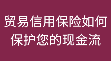 您是否曾想过贸易信用保险如何保护您的现金流？