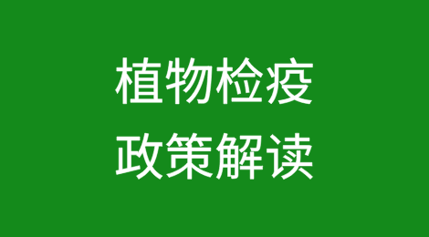 植物检疫政策解读丨进口玻利维亚奇亚籽植物检疫要求