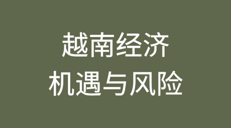 2025年越南经济面临的机遇与风险