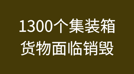 1300多个集装箱智利水果运抵广州，却面临销毁或退运