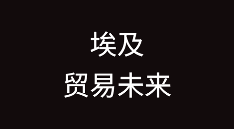 埃及的贸易未来：夹在特朗普关税风暴和机遇之间