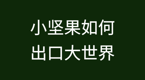 小坚果如何出口大世界？