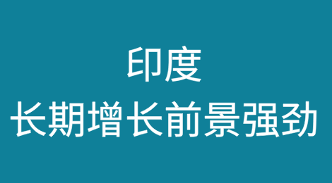 印度：在结构性风险挑战中崛起为主要经济和地缘政治参与者