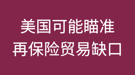 智库警告称，美国可能瞄准再保险贸易缺口