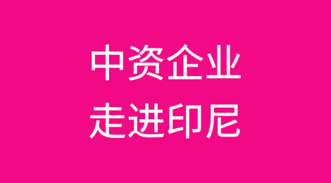 从镍矿到电池：中资企业走进印尼共建全球电动汽车产业链