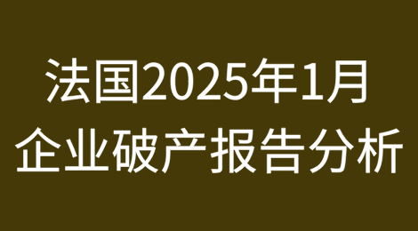 法国2025年1月企业破产报告分析