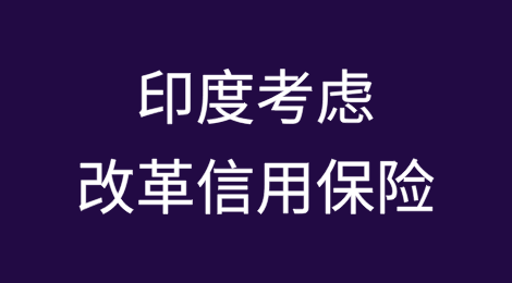 印度考虑改革信用保险以促进中小企业贸易融资