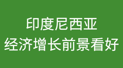印度尼西亚经济增长前景看好，信用评级维持不变，但收入隐忧依然存在