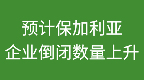 企业倒闭数量上升：预计2025年和2026年保加利亚将出现更多破产企业