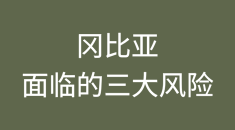 冈比亚：全球形势不利，虽前景乐观，但仍面临三大风险