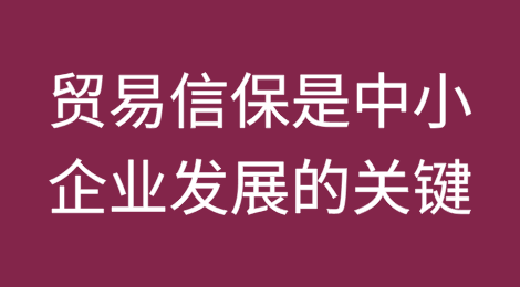 ICISA：贸易信用保险是中小企业发展的关键