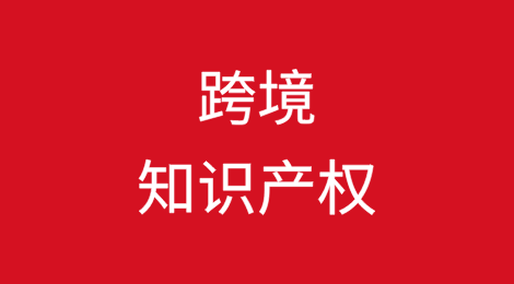 跨境知识产权/数据合规与贸易执法深度解析