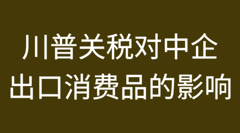 特朗普2.0对中企出海的影响——消费品篇