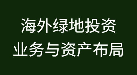 海外绿地投资中的业务与资产布局