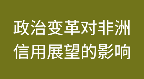 2025年白皮书：政治变革对非洲信用展望的影响