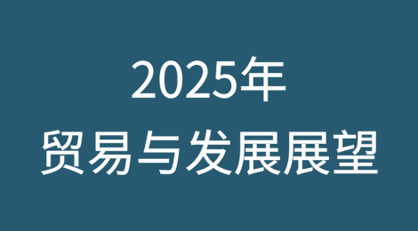 2025年贸易与发展展望：压力之下——不确定性重塑全球经济前景