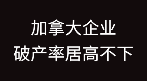关税担忧和行业压力导致加拿大企业破产率居高不下