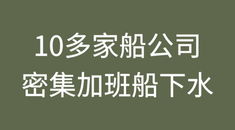 10多家船公司密集加班船下水、美线两周新增运力达50%