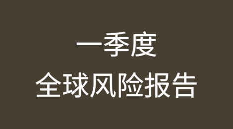 2025年第一季度全球风险报告