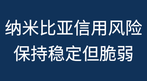 纳米比亚的信用风险保持稳定但脆弱