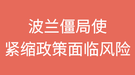 评级机构警告称，波兰僵局使紧缩政策面临风险