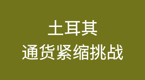 土耳其的通货紧缩挑战：通往稳定之路坎坷