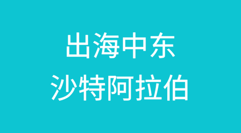 “一带一路”出海中东愿景：沙特阿拉伯篇（二）