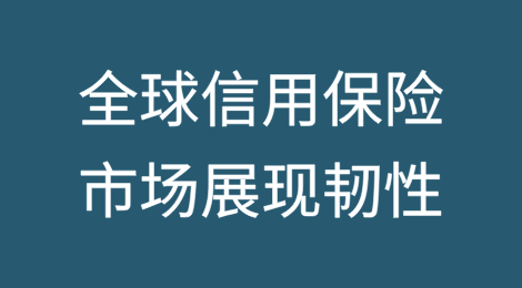 全球信用保险市场展现韧性 2024年风险敞口与承保质量双增长