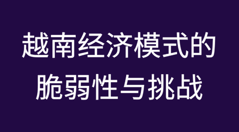 美国贸易战冲击下越南经济模式的脆弱性与挑战