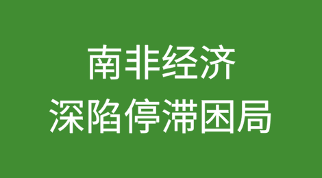 南非经济深陷停滞困局：私人投资骤降、失业率攀升、结构性顽疾待解