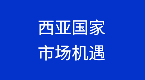 西亚国家市场机遇