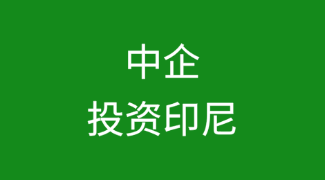 中资企业在印尼直接投资的现状与前景