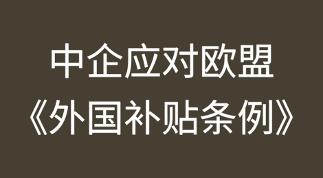 中国企业如何应对“贸易投资壁垒”之欧盟《外国补贴条例》
