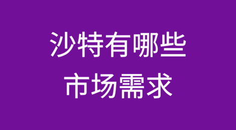 沙特有哪些市场需求？
