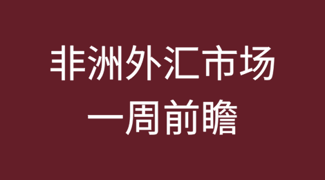 非洲外汇市场一周前瞻：加纳塞地（Cedi）或走弱，其他非洲货币预计保持稳定