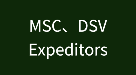 MSC、DSV 和Expeditors被同时起诉